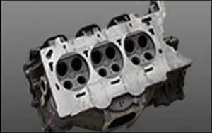 較強的適應性 較強的適應性